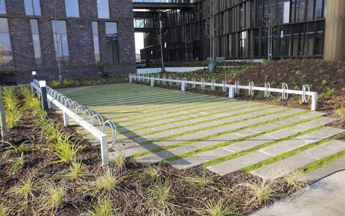 URBAN PARK IT - Image 2